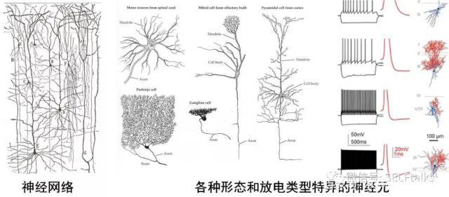 中国脑健康日关注“头”等大事，中国脑科技的未来是什么？