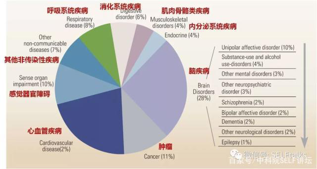 中国脑健康日关注“头”等大事，中国脑科技的未来是什么？